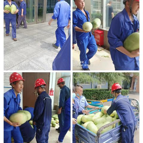 炎炎夏日  洁石煤化送清凉到岗位一线