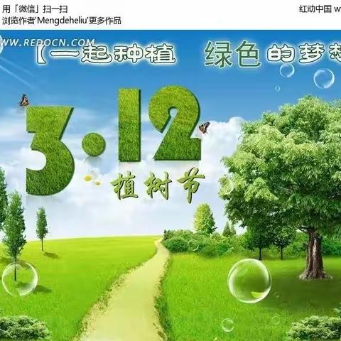 我为怀集植棵树——大岗镇南天初级中学开展主题党日植树活动