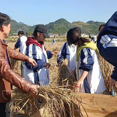 田间大课堂 研学促成长——鹿寨县实验高级中学2023秋学期研学系列活动（一）