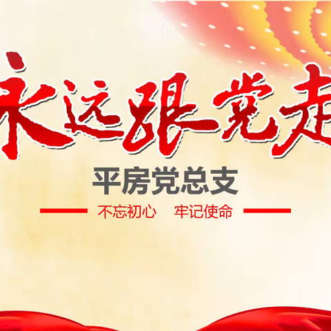 平房党总支“三个牵引”工作法推进基层党建工作走深走实