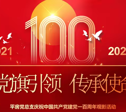 党旗引领  使命传承【平房党总支庆祝建党一百周年观影活动 ①】