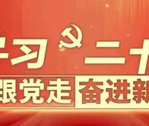 学习二十大，争做新时代好队员——渭滨实验小学红领巾宣讲会