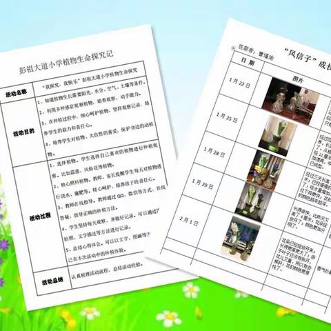 【青年·在家乐学】“我探究、我快乐”——彭祖大道小学植物生命科学探究记