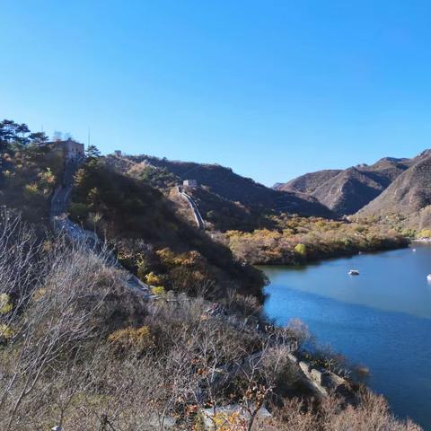 影落明湖青黛光