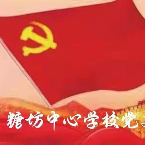 糖坊镇中心学校主题党日活动