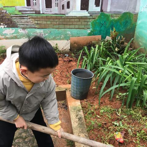 武川小学二（1）班余文乐居家种植蔬菜记