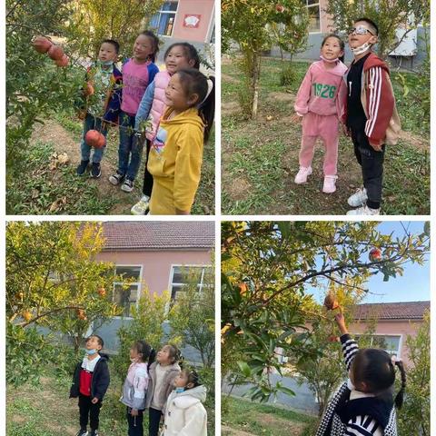 迎石榴采摘节 享校园文明果—屯里小学石榴节实践活动纪实