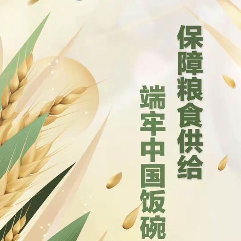 粮以载德，食育修身——记丛台区实验中学“节约粮食，光盘行动”文明实践活动