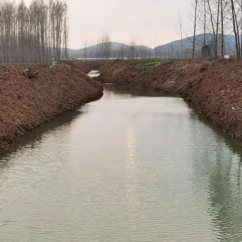 不等不靠 以动为先 —— 王小屯村扎实开展河道整治