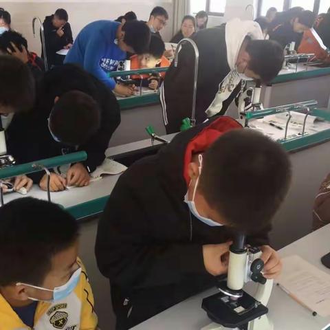 “双减”提质，青蓝先行——清溪实验学校青年教师展示课