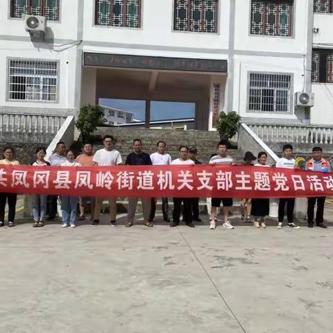 凤岭街道开展巩文巩卫活动暨机关党支部6月份主题党日活动