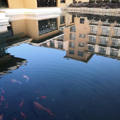 大连铭湖温泉旅程