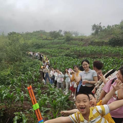 【晨曦幼儿园】“缤纷夏日，凝心聚力”教师团建活动