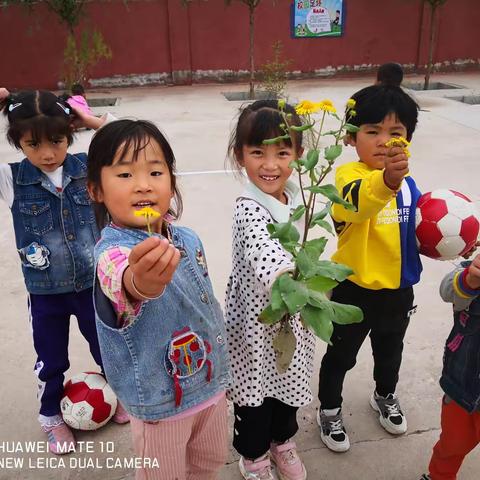 素心如简的美篇