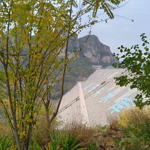 绿水青山就是金山银山🌹🌹🌹