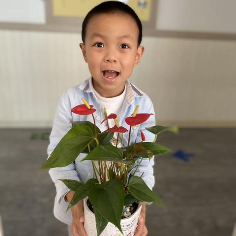 【百花幼儿园】🌸芙蓉班照顾植物的工作～俨峰宝贝