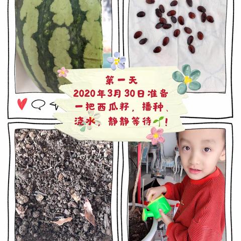 主题活动“我和春天有个约定”之播春希望