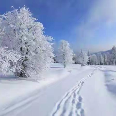 雪寒人心暖  真情溢校园——家长助力新窝铺学校除雪