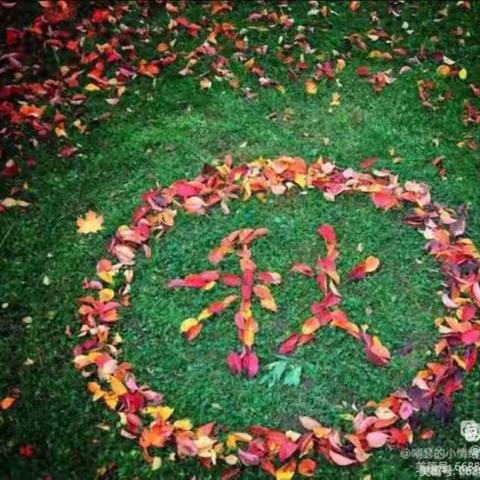 熊口镇中心幼儿园向日葵一班
