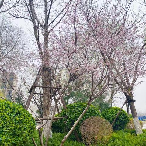 邢台恒大名都3月第3周工作展示