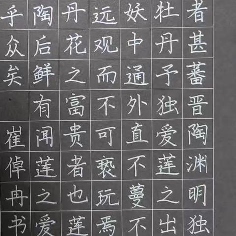 【一周练好字】好问善思班学员暑期作品展（楷书作品1）