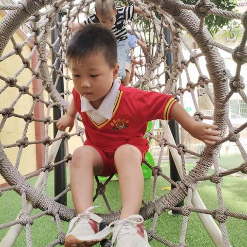 《小三班》我们的小家庭