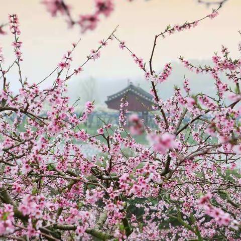 心怀诗和远方  热爱人间俗常