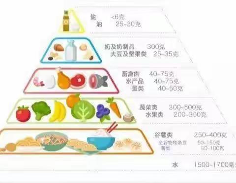 〖健康教育〗三分法快速搭配早餐—— 春苗幼儿园居家生活指导