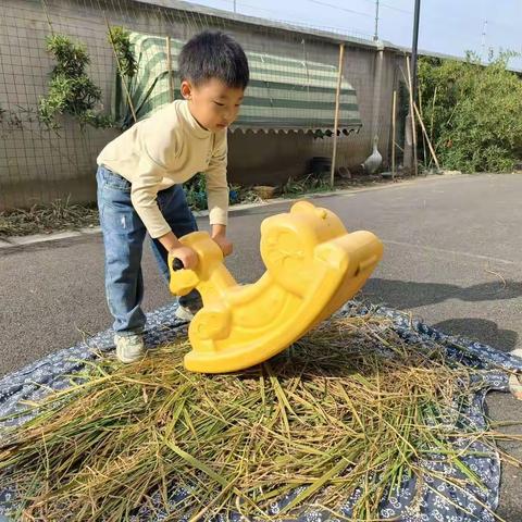 稻花香里说丰年