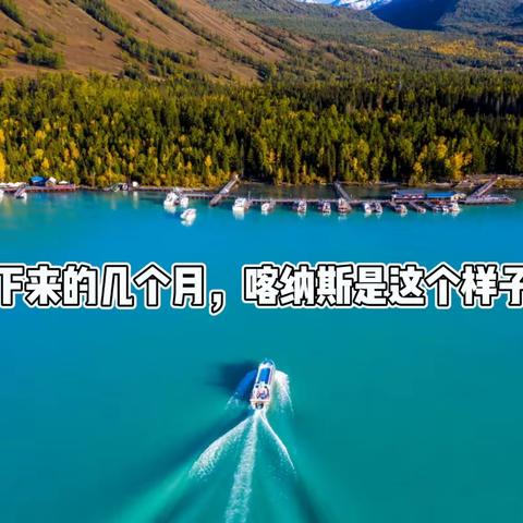 【换种玩法：游精华】360°全景南北疆双卧16日精华游！