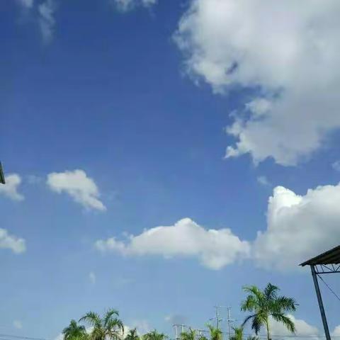 2017/5/2爷爷79岁，台湾之旅。