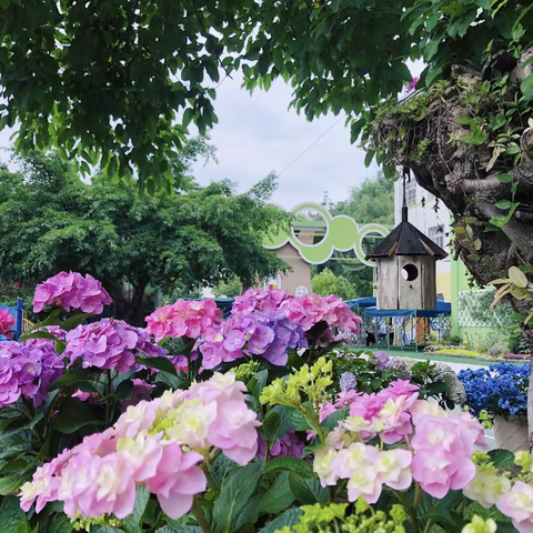 柠檬班花卉主题活动记录