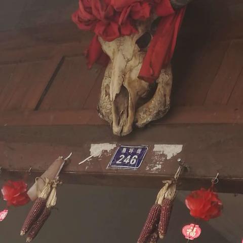 烂龙牛🐮肉    神仙饭