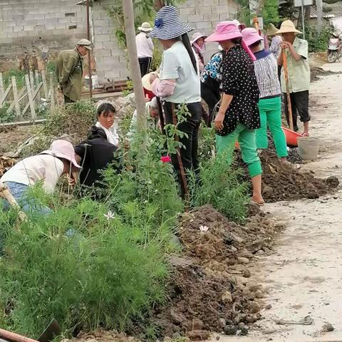 弥渡县苴力镇白云村脱贫攻坚工作日报【202038期】提升人居环境，白云在行动！（二）