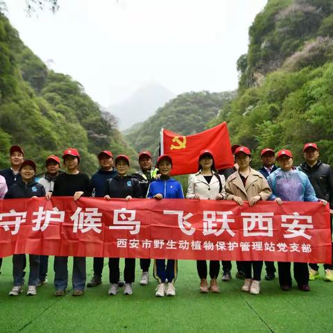 西安市野生动植物保护管理站组织开展野生植物现场识别学习活动