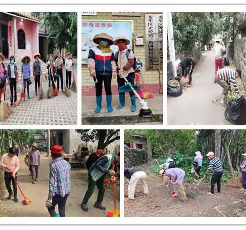 龙华区各镇积极开展农村人居环境整治---全力以赴打赢村庄清洁行动冬季战役