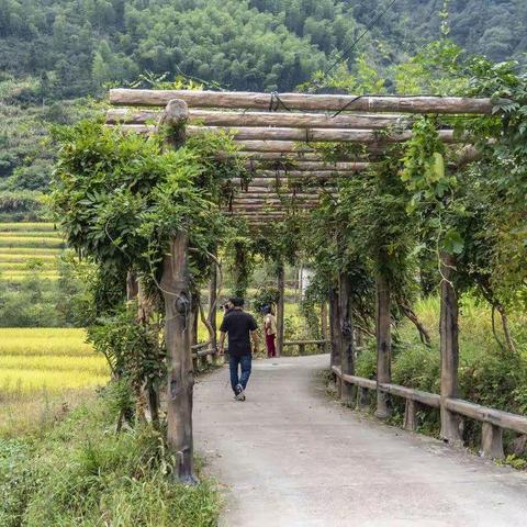 打卡古村落二（台回山，霞山村，芹川）