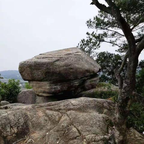 20211226濠江“叠石岩”和“崎石问天”双景游记