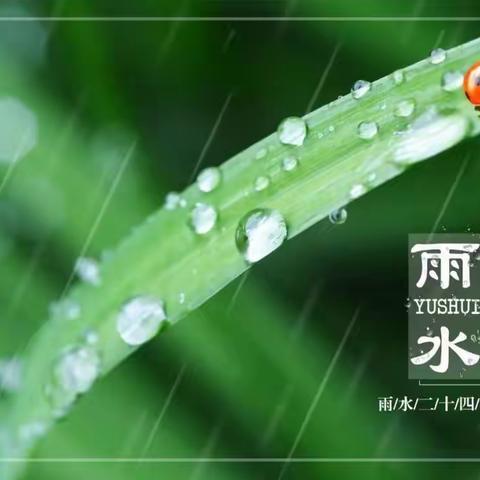 雨水迎春天，节气伴雨来——仙河镇中心幼儿园中一班雨水节气主题活动