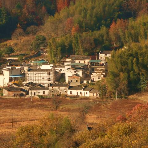 塔川秋色、多彩协里