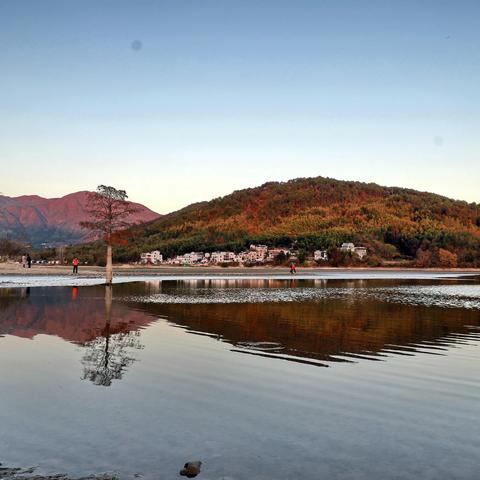 奇墅湖的秋景