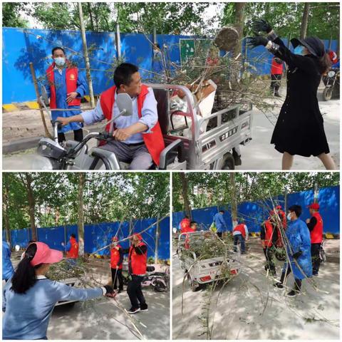 共建文明城市，共享美好生活—农科所开展公共秩序志愿服务活动