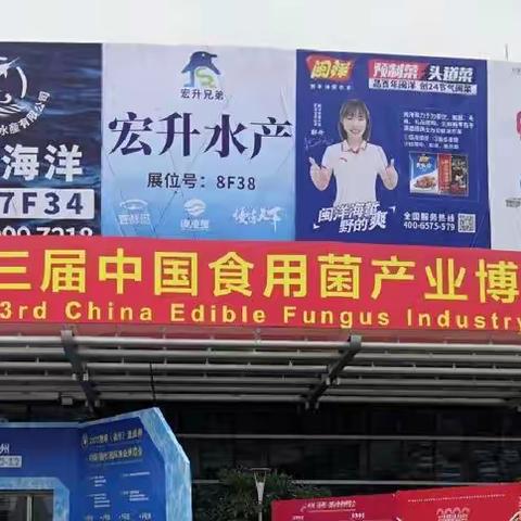 喜报！热烈祝贺宝丰县荣获“中原珍稀食用菌生产强县”称号