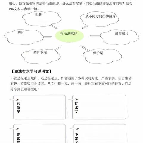 【品质北辛  和美通盛】小昆虫    大世界——北辛街道通盛路小学四年级整本书阅读活动之《…