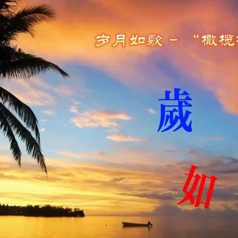 时光如歌 - “橄榄树”