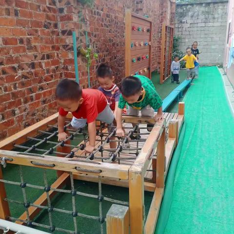 新桥镇中心幼儿园中一班第七周精彩回顾