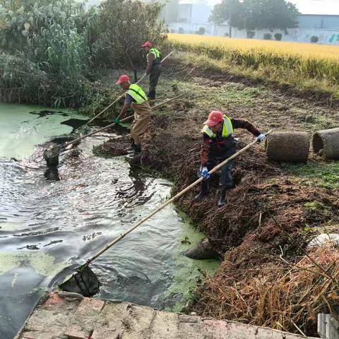 方巷镇钱冲村：加快水体整治、扮靓美丽乡村。