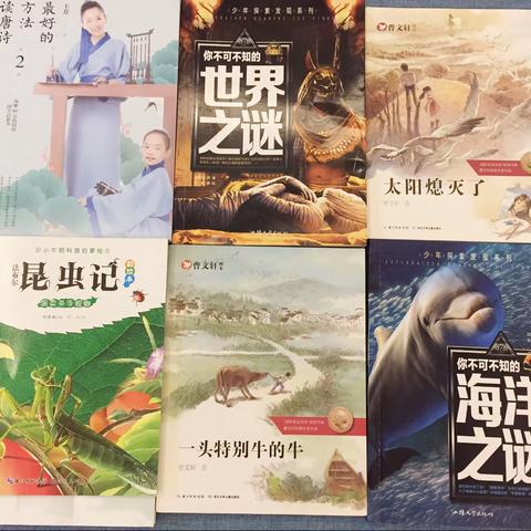 〔石桥·课堂〕美文滋养心灵，书香浸润人生（三年级阅读之星）