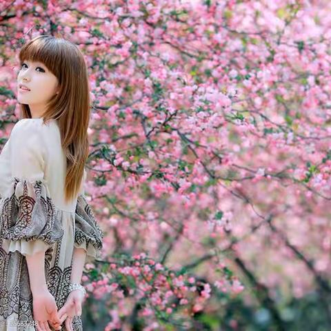 春光里