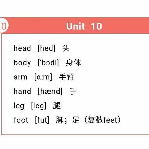 三年级下册第十课